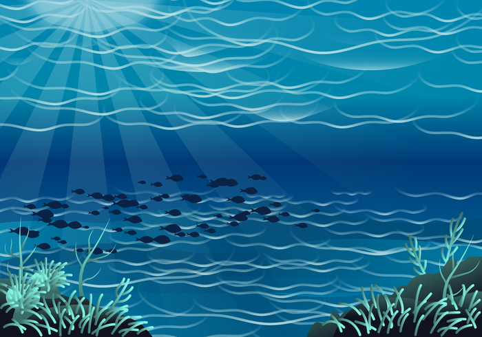 Free Seabed Vector 700x490 Free Seabed Vector