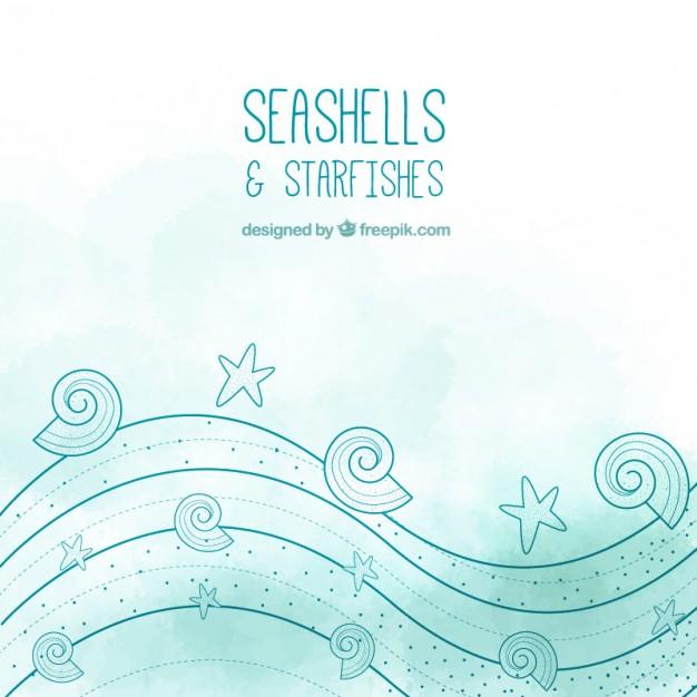 Conchas Y Estrellas De Mar Descargar Vectores Gratis 626x626 Conchas Y Estrellas De Mar Descargar Vectores Gratis