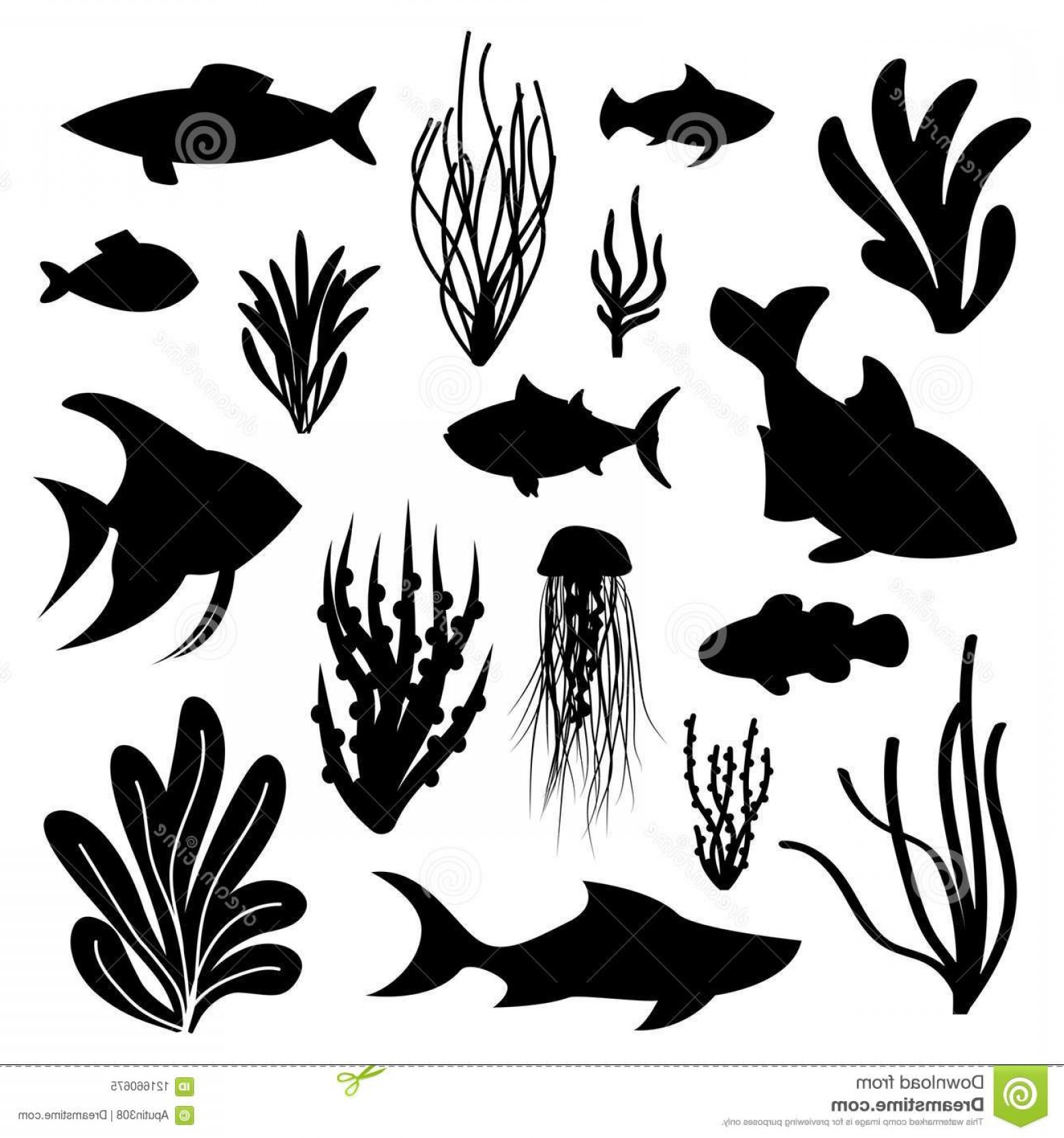 1560x1668 Seaweed Sea Fish Set Vector Silhouettes Marine Life Plants