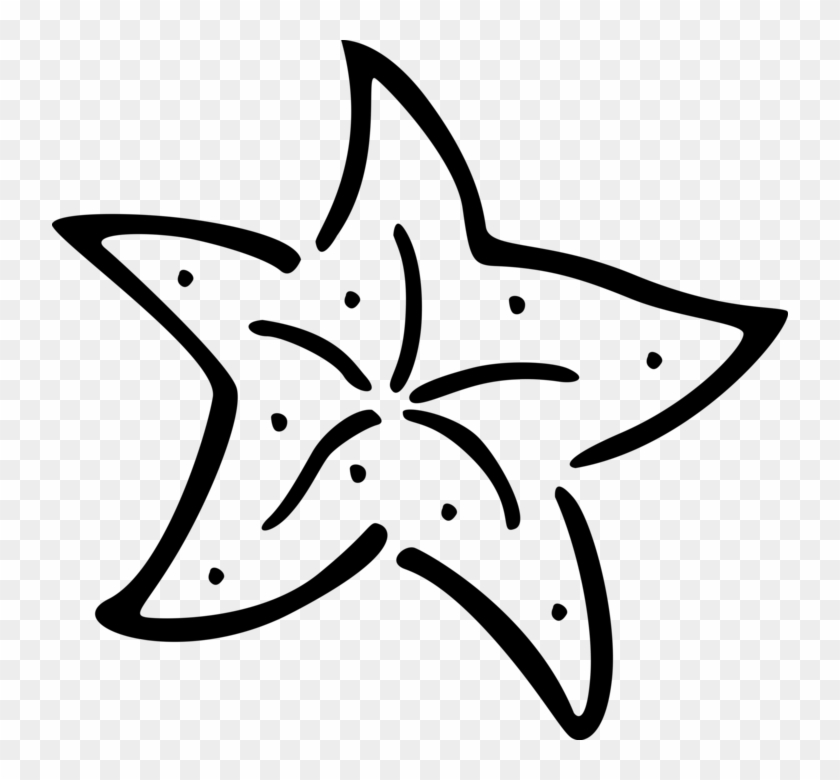 840x780 Vector Illustration Of Marine Invertebrate Starfish