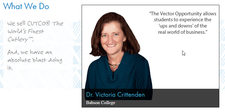 788x395 Does Vector Marketing Work