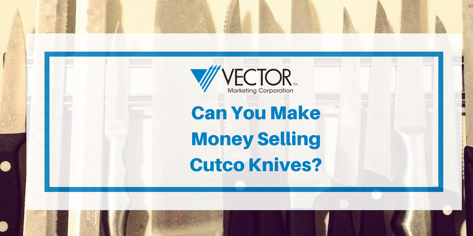 1600x800 Vector Marketing Review Is It A Legitimate Opportunity Or Scam