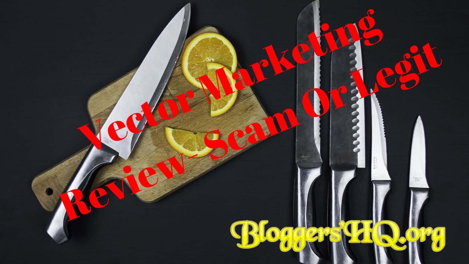 1643x924 Vector Marketing Review Scam Or Legit