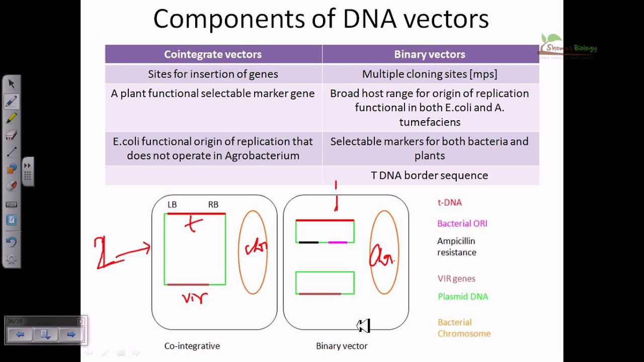 1280x720 Cointigrate Vector And Binary Vector