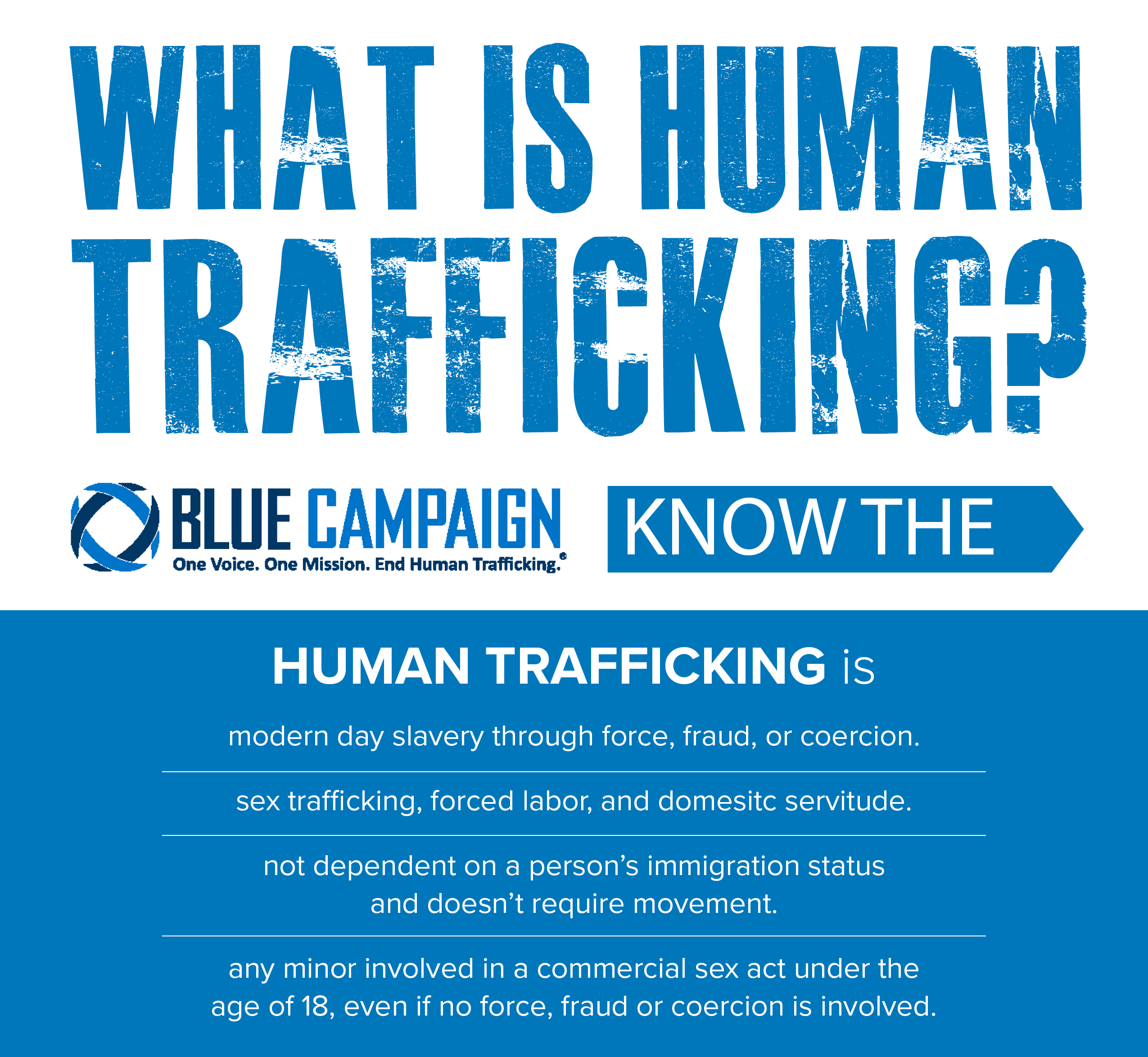 2550x2347 Shining A Light On Modern Day Slavery Lmd Agency