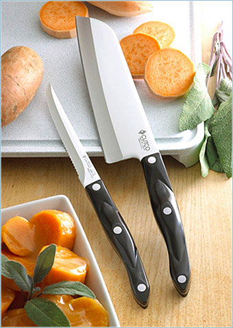 340x479 The One Income Dollar Vector Marketing Scam Learn The Truth