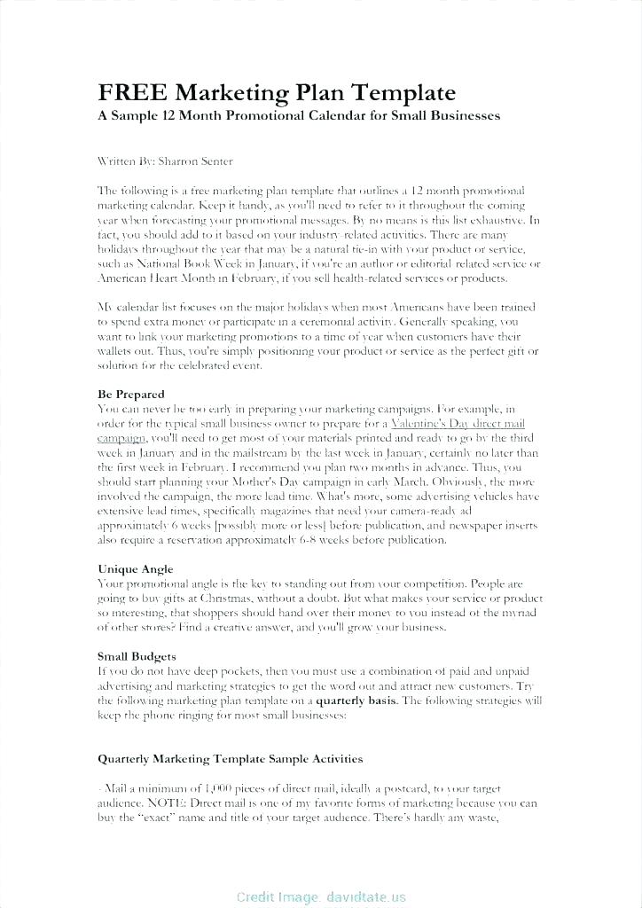 724x1024 Sample Promotional Plan Template