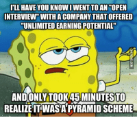 Vector Marketing Pyramid Scheme