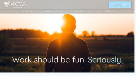 432x243 Vectormarketing Reviews