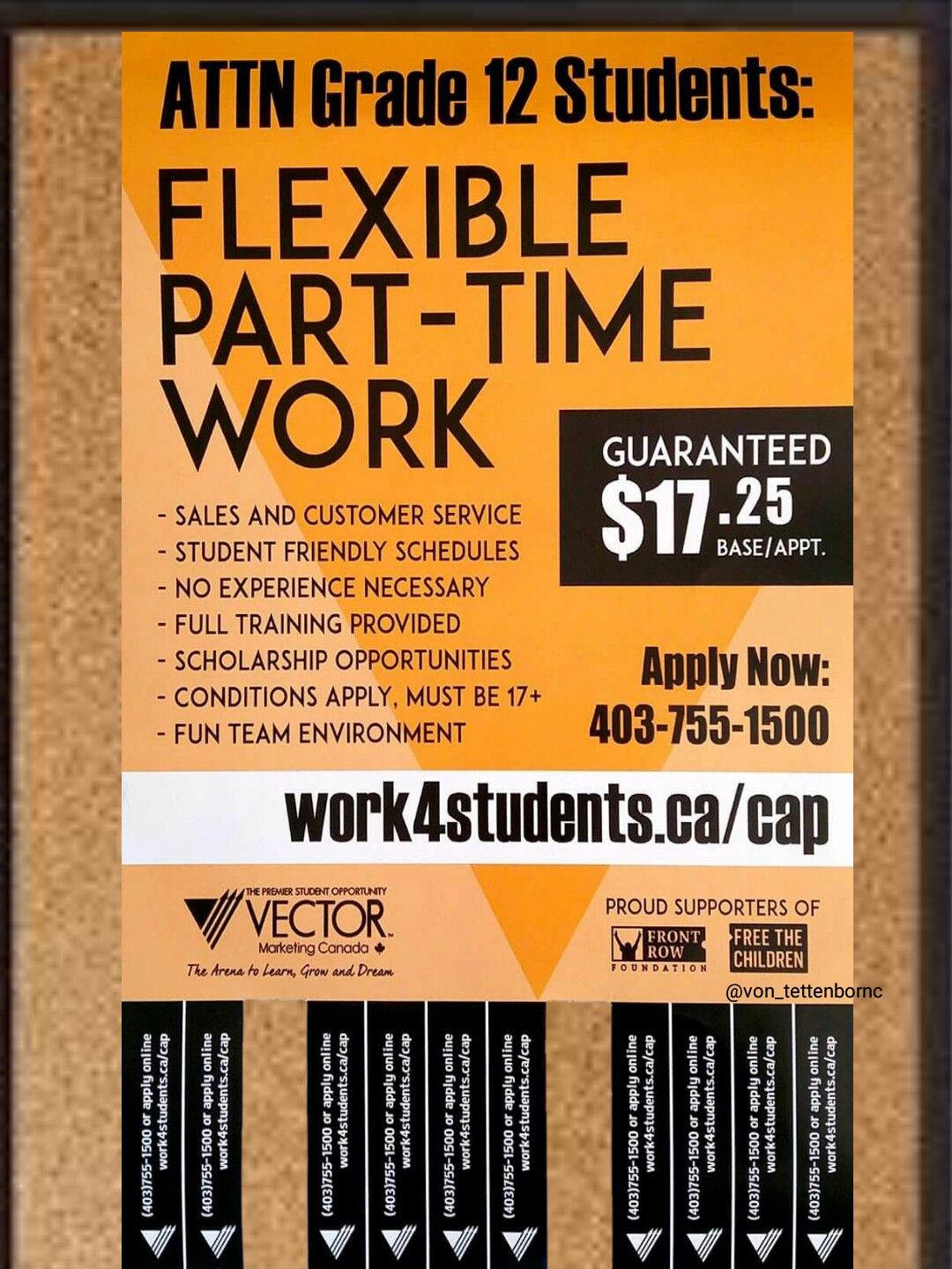 1080x1440 Vector Marketing Poster Sarah Rose Von Tettenborn Calltext