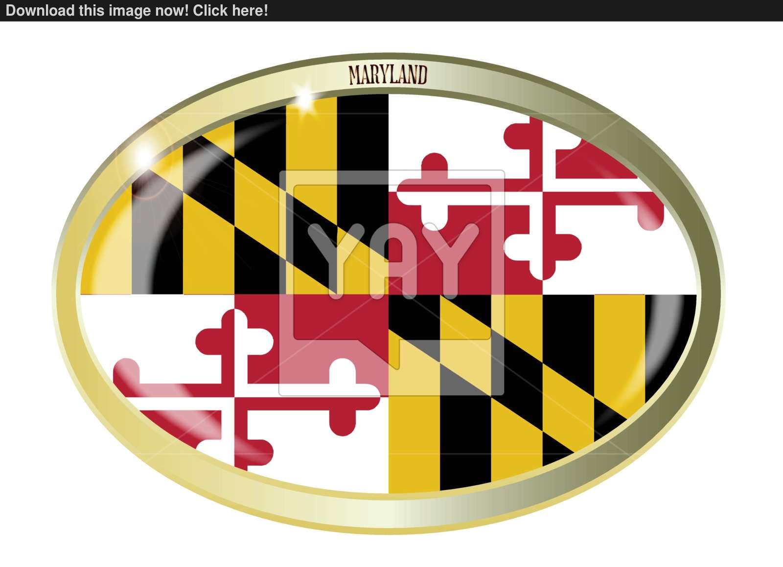 1600x1159 Maryland State Flag Oval Button Vector
