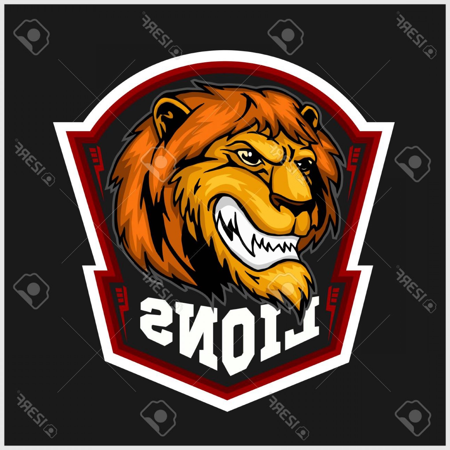 1560x1560 Photostock Vector Mascot Lions Sport Team Logo Template Lion Head