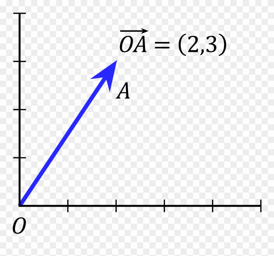 type of vector in mathematics
