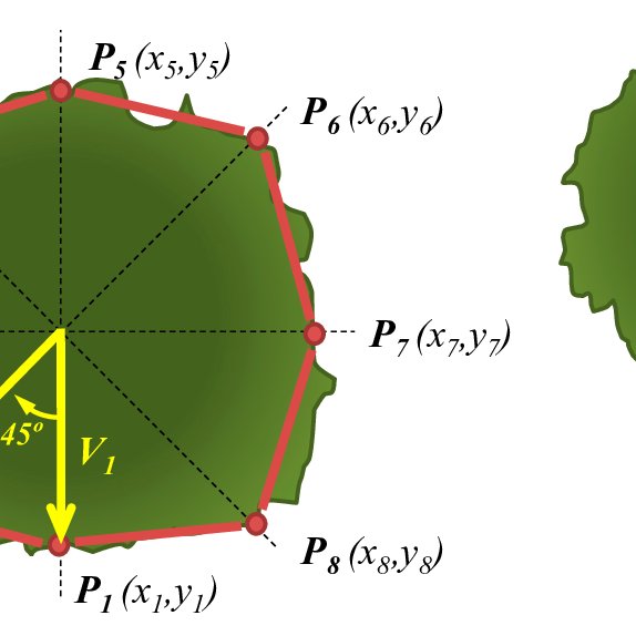 574x574 Vertical Tree Crown Projection's Mean Vector Measurement Method