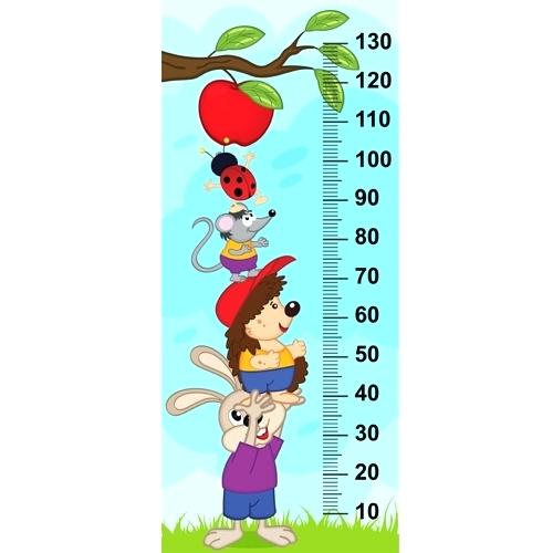 500x500 Height Measure Baby Cartoon Styles Vector Measurement Scale Cm