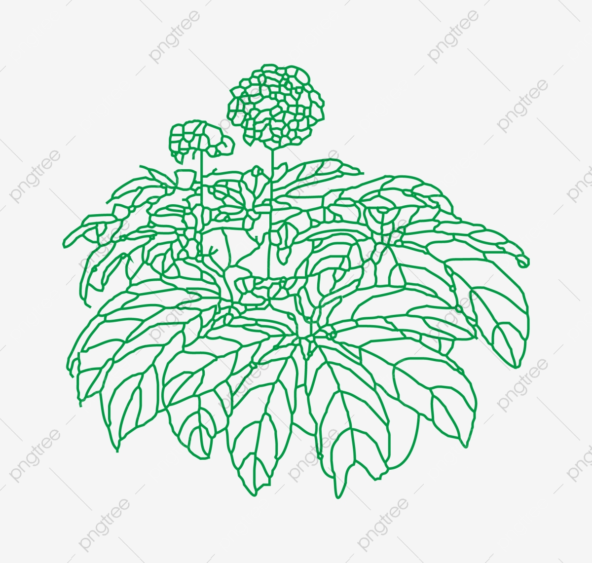 1200x1141 Sanqi Plant Compendium Of Materia Medica Hand Painted, Pixel