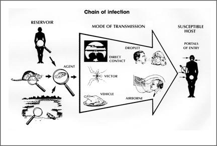 432x292 Principles Of Epidemiology Lesson