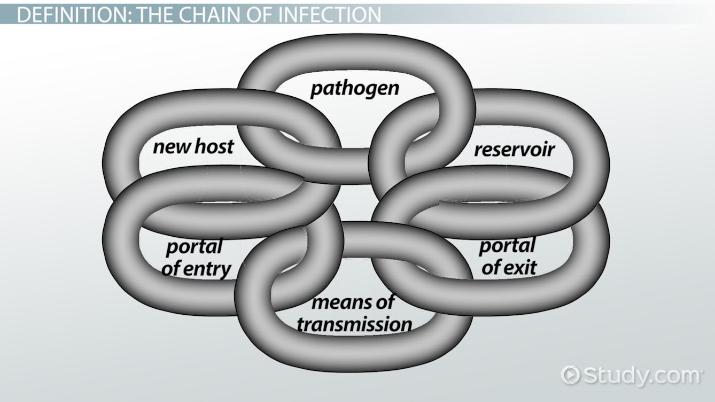 715x402 Chain Of Infection Definition Example
