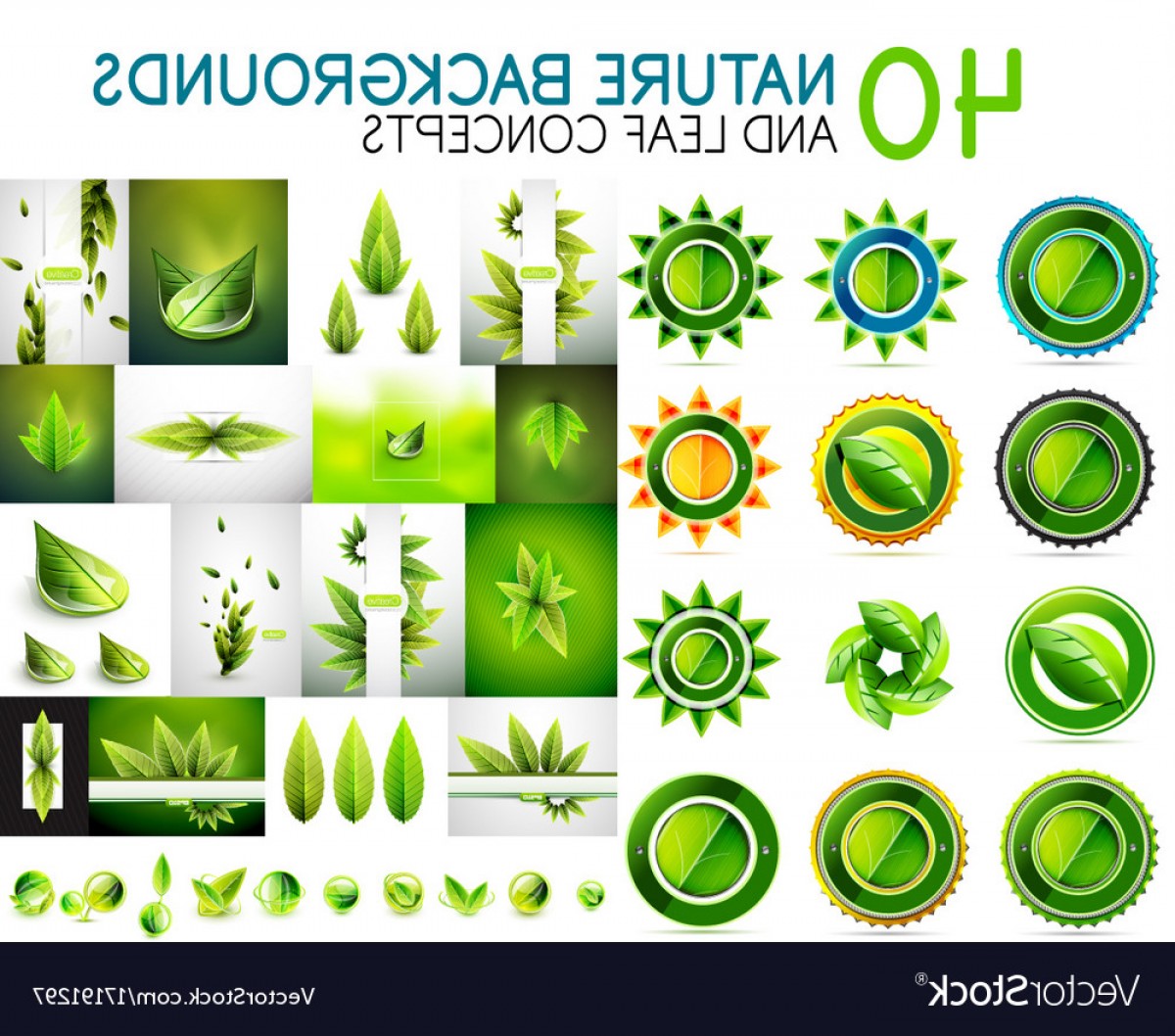 1200x1058 Mega Collection Of Nature Leaves Green Eco Vector Handandbeak