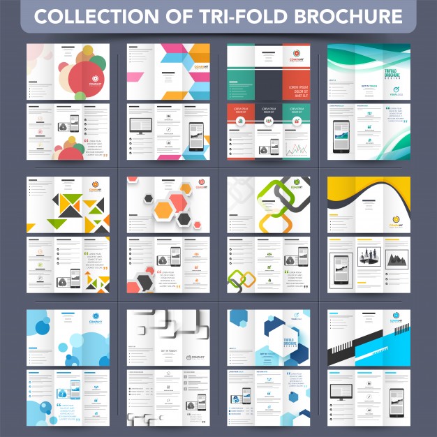626x626 Mega Collection Tri Fold Leaflet, Brochure Design Vector