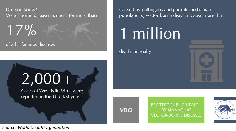 Vector Borne Diseases Education, Public Health, Mosquito Management 941x524 Vector Borne Diseases Education, Public Health, Mosquito Management