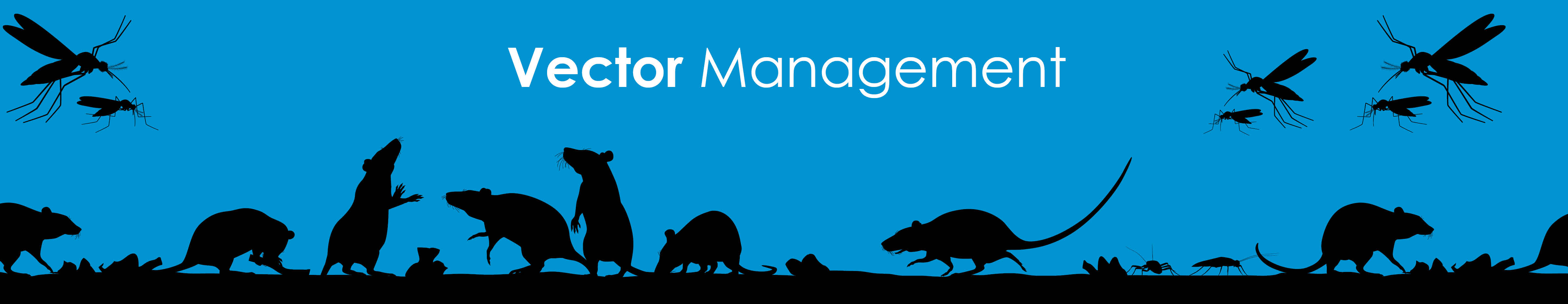 Vector Management 4792x930 Vector Management