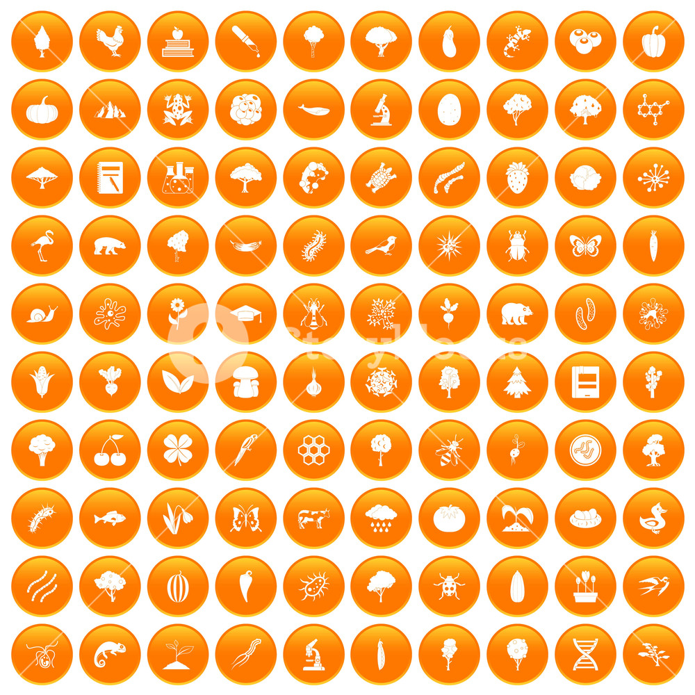Microbiology Icons Set In Orange Circle Isolated Vector 1000x1000 Microbiology Icons Set In Orange Circle Isolated Vector