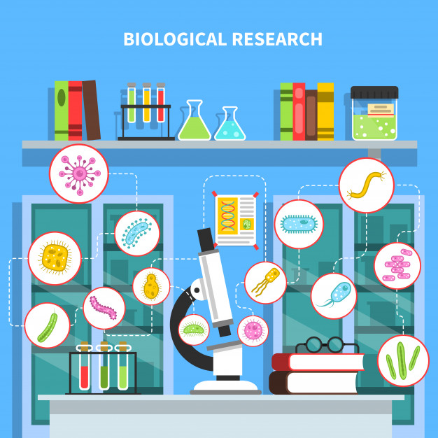 Microbiology Concept Illustration Vector Free Download 626x626 Microbiology Concept Illustration Vector Free Download