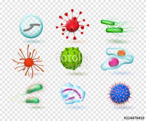 Realistic Microbiology Bacteria, Various Virus, Nature 500x415 Realistic Microbiology Bacteria, Various Virus, Nature