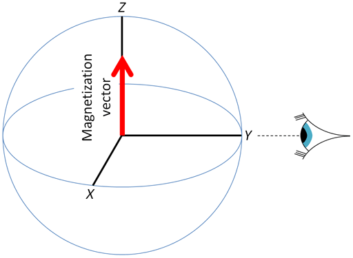 Pulse Sequences And The Vector Model 512x375 Pulse Sequences And The Vector Model