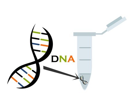450x345 Dna In Test Tube Eppendorf Molecular Biology Science Vector