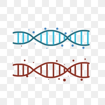 360x360 Molecular Biology Png, Vector, And Clipart With Transparent