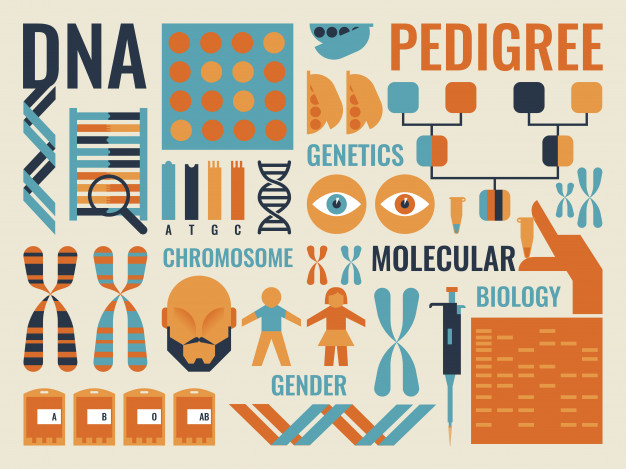 626x469 Molecular Biology Vector Premium Download