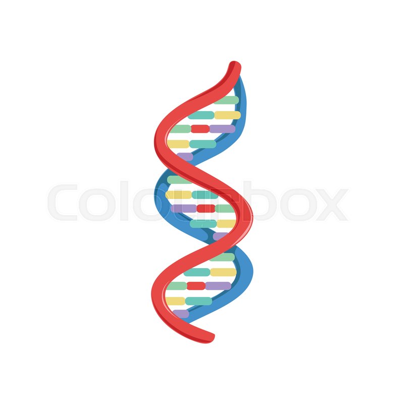 800x800 Spiral Dna Genetic Material Micro Stock Vector Colourbox