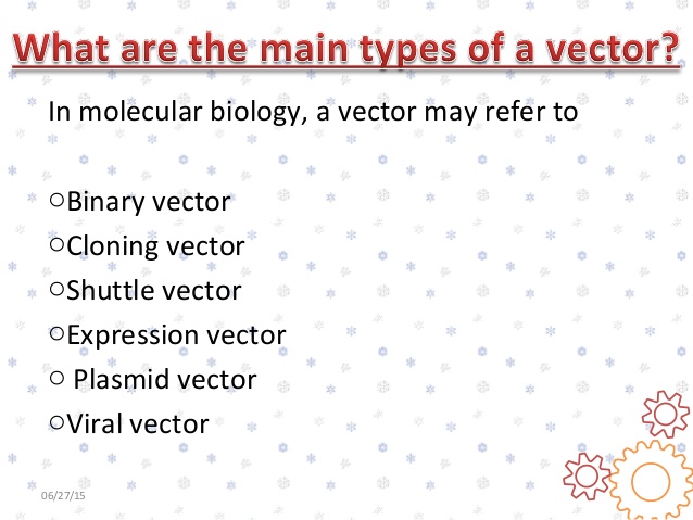 Vector Molecular Biology at Vectorified.com | Collection of Vector ...