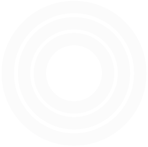 289x287 Small Business Security Systems Vector Security