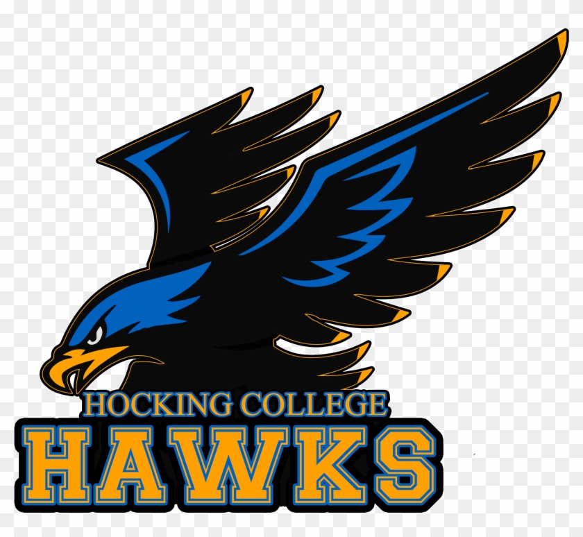 840x774 Hawklogo Vector