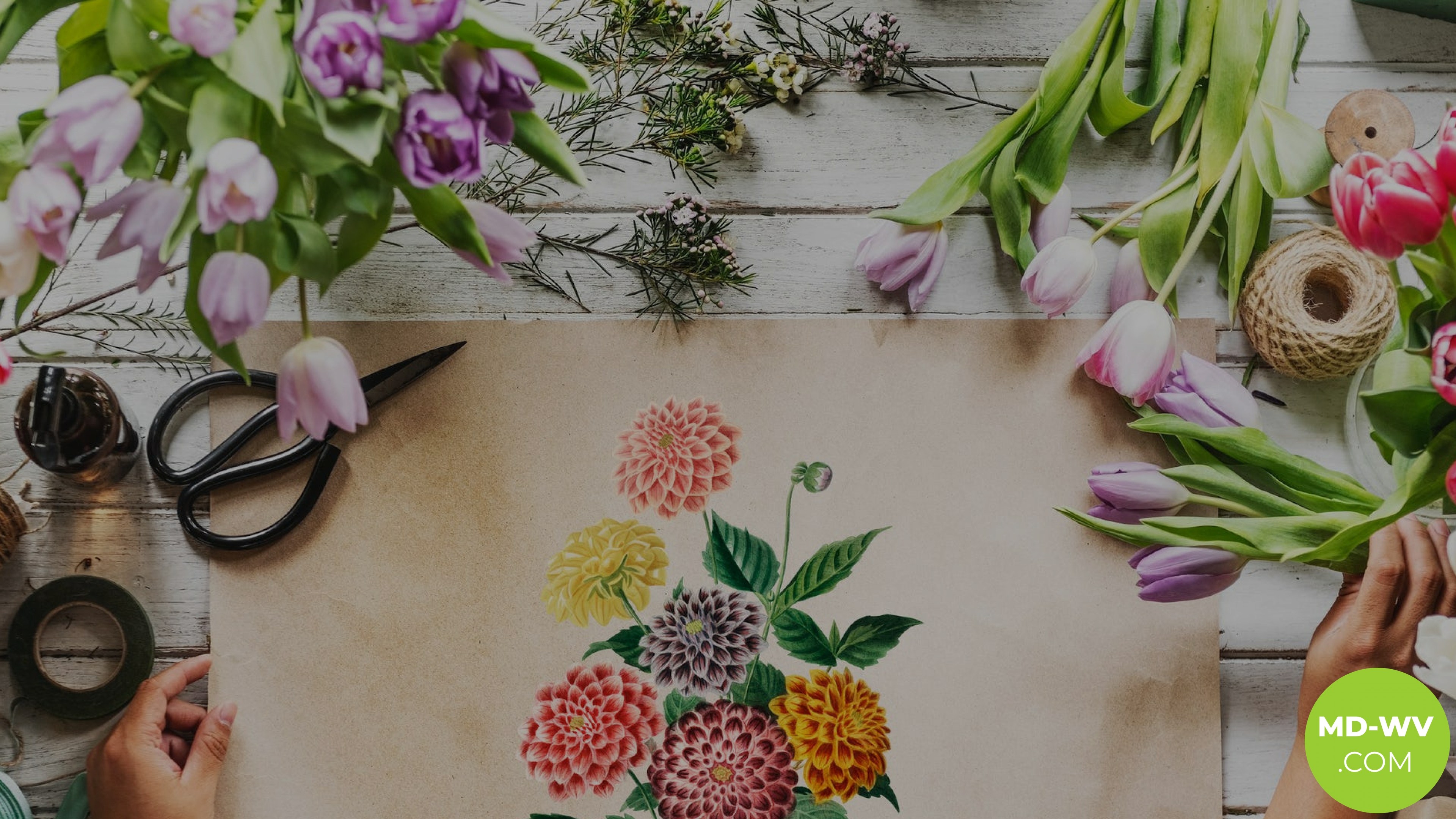 3840x2160 Free Garrett County, Maryland Abstract Vector Pdf Shape Download