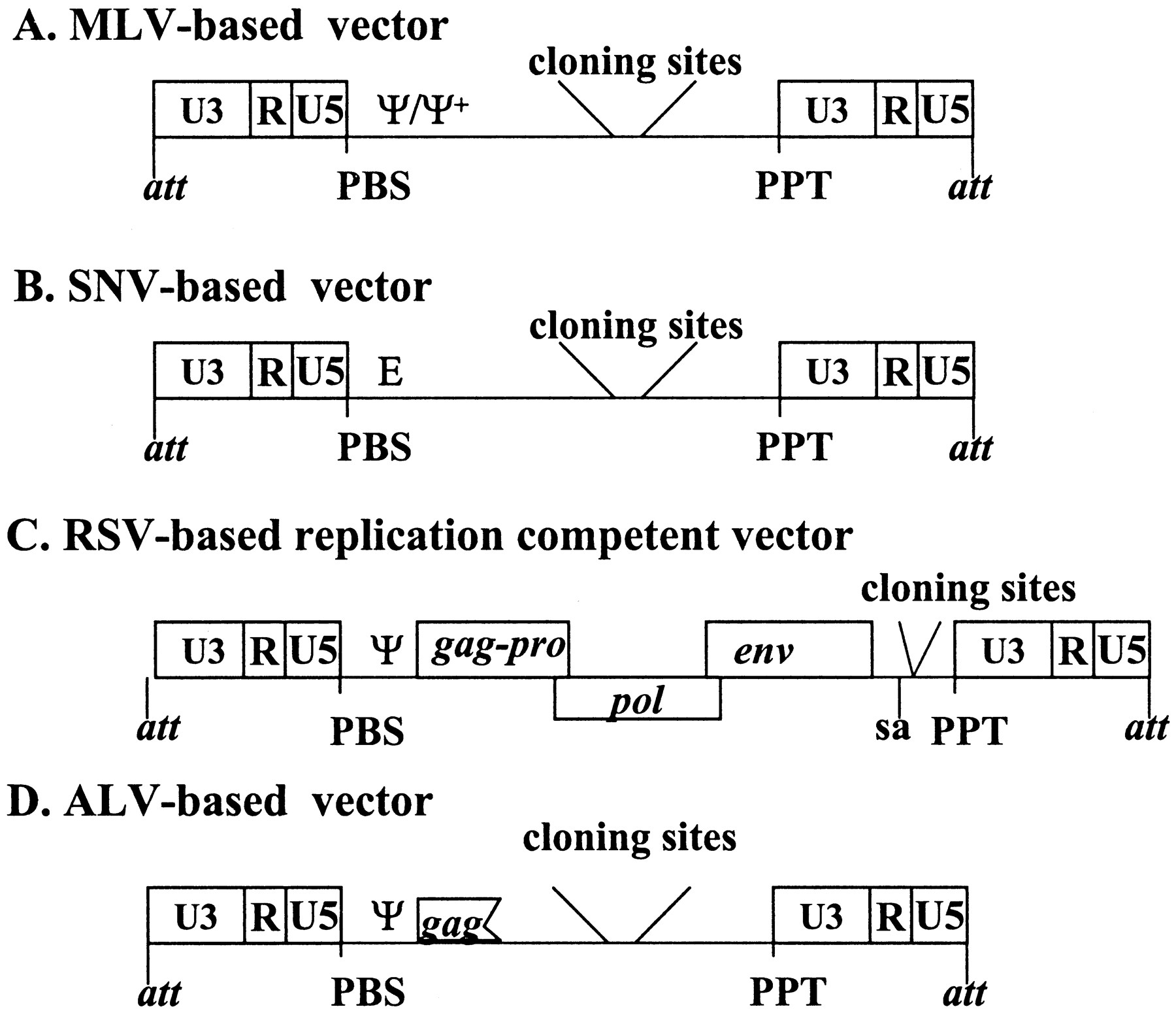 1800x1547 Figure Design Of Retroviral Vectors And Helper Cells For Gene