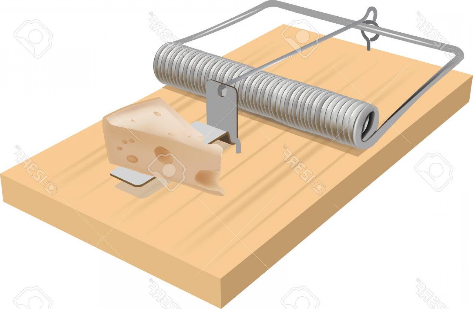 1560x1020 Photostock Vector Mouse Trap Baited With A Large Piece Of Cheddar