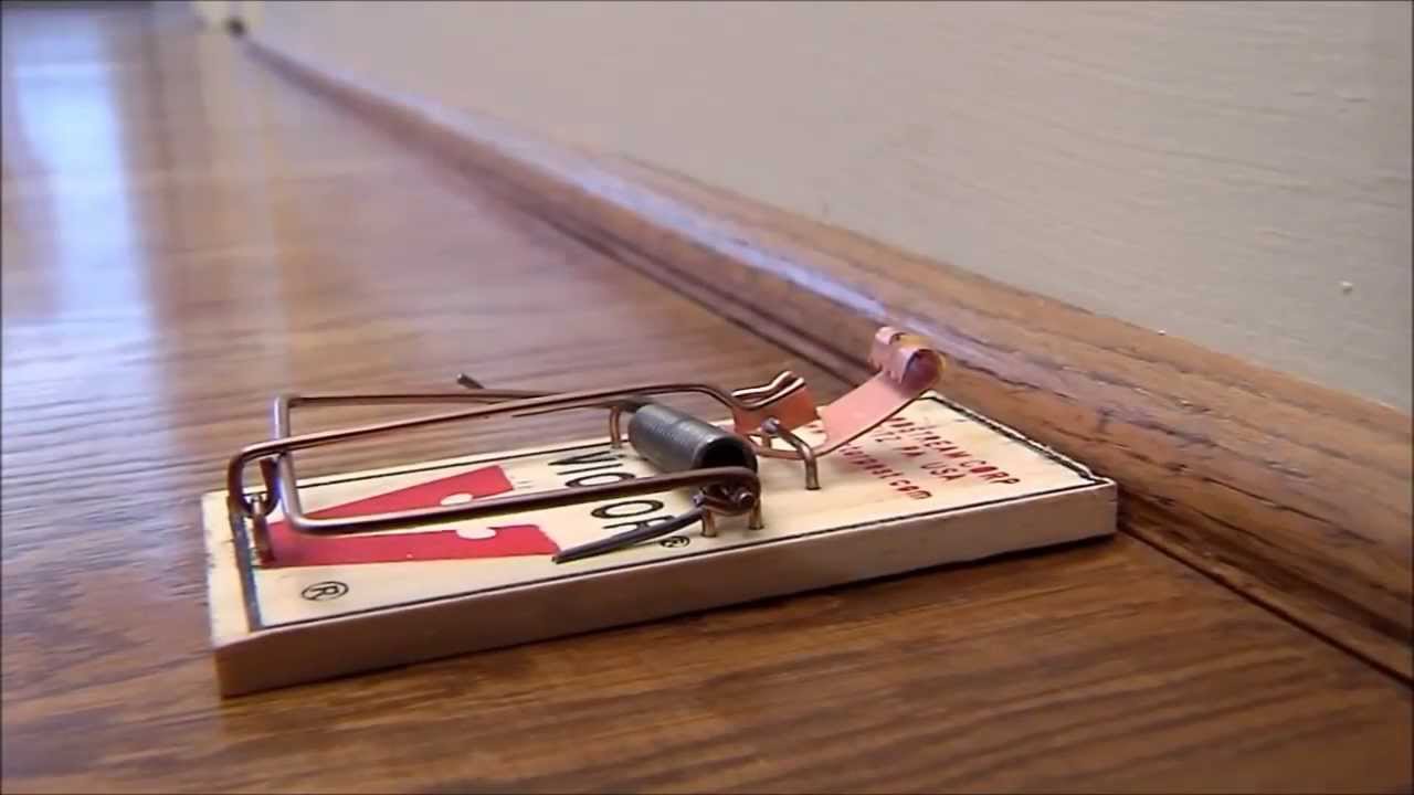 1280x720 Victor Metal Pedal Wooden Mouse Trap