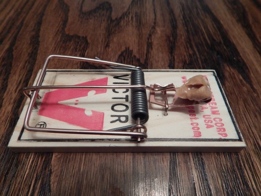 533x400 How To Set A Mouse Trap