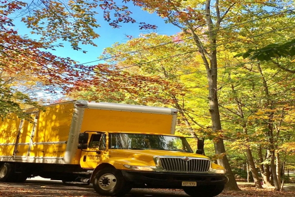 600x400 Vector Movers Philadelphia