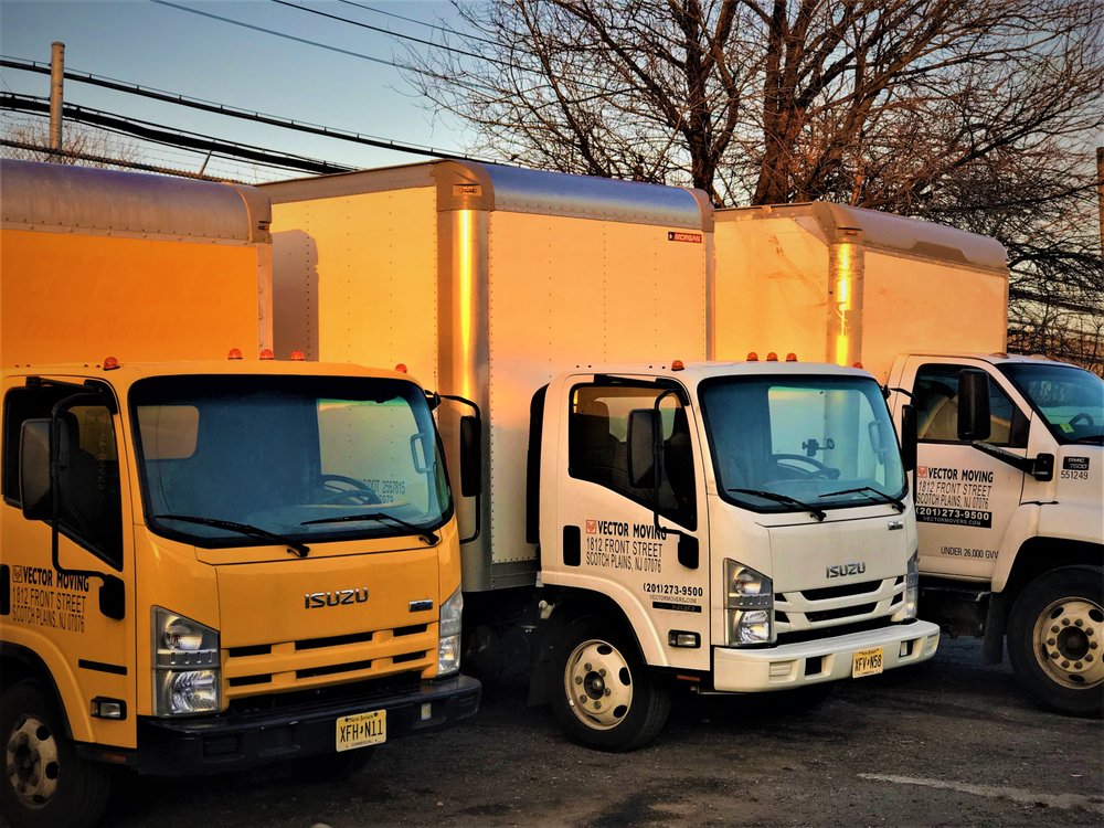 Vector Movers Nj 1000x750 Vector Movers Nj