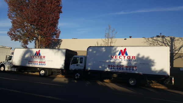 Vector Moving And Storage Reviews 600x338 Vector Moving And Storage Reviews
