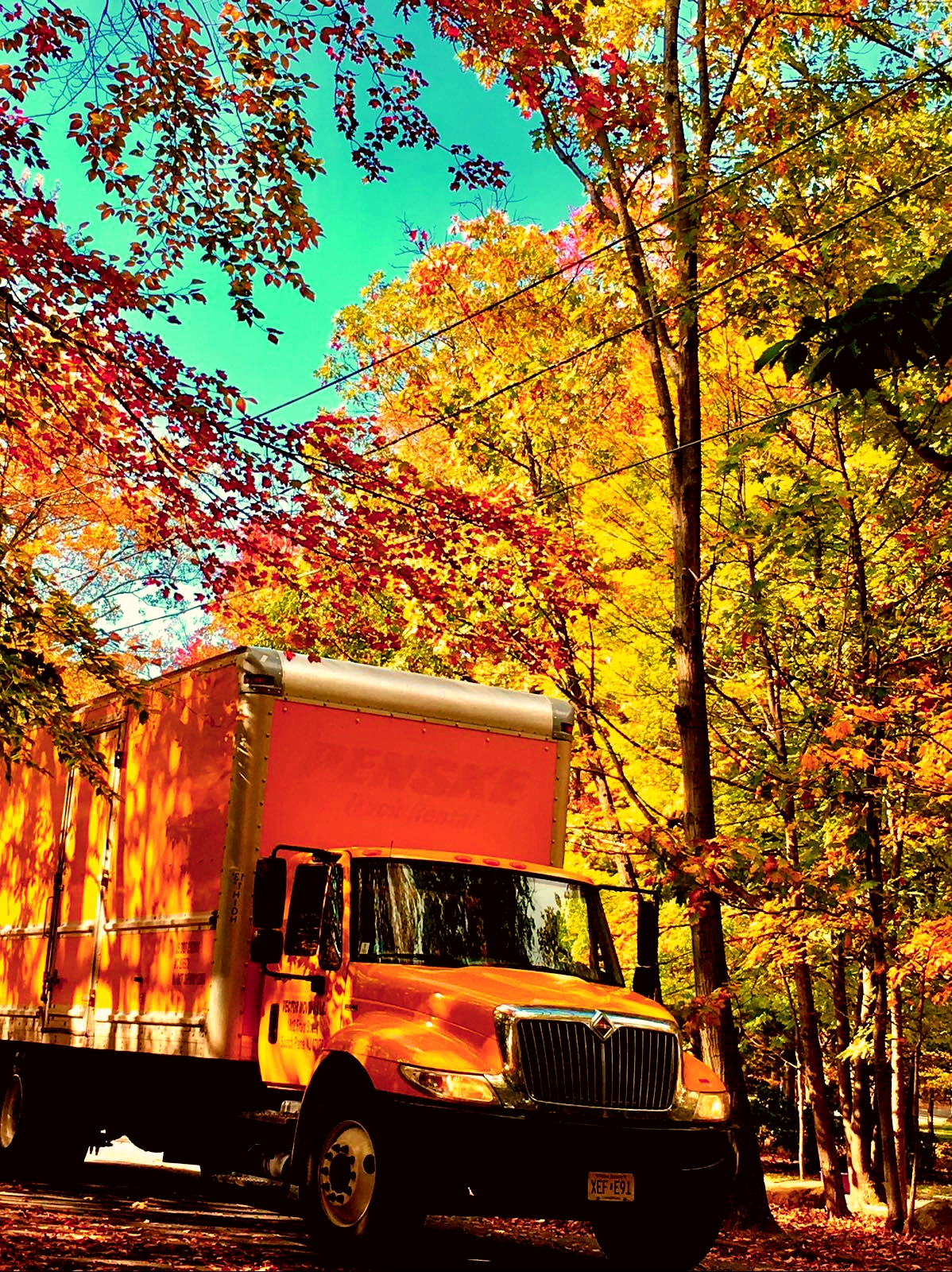 1198x1600 Vector Movers Nj