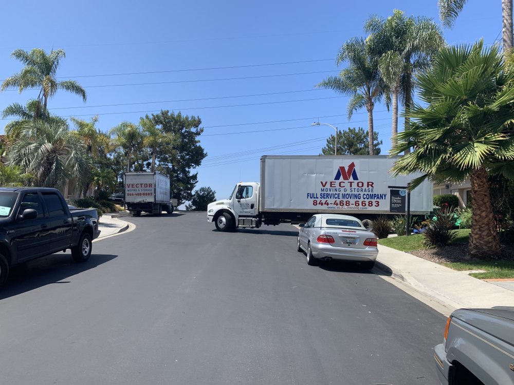 1000x750 Vector Moving And Storage