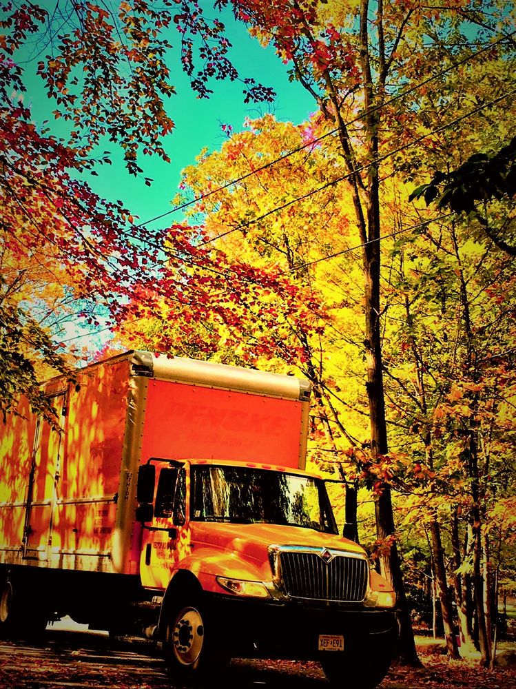 749x1000 Vector Movers Nj