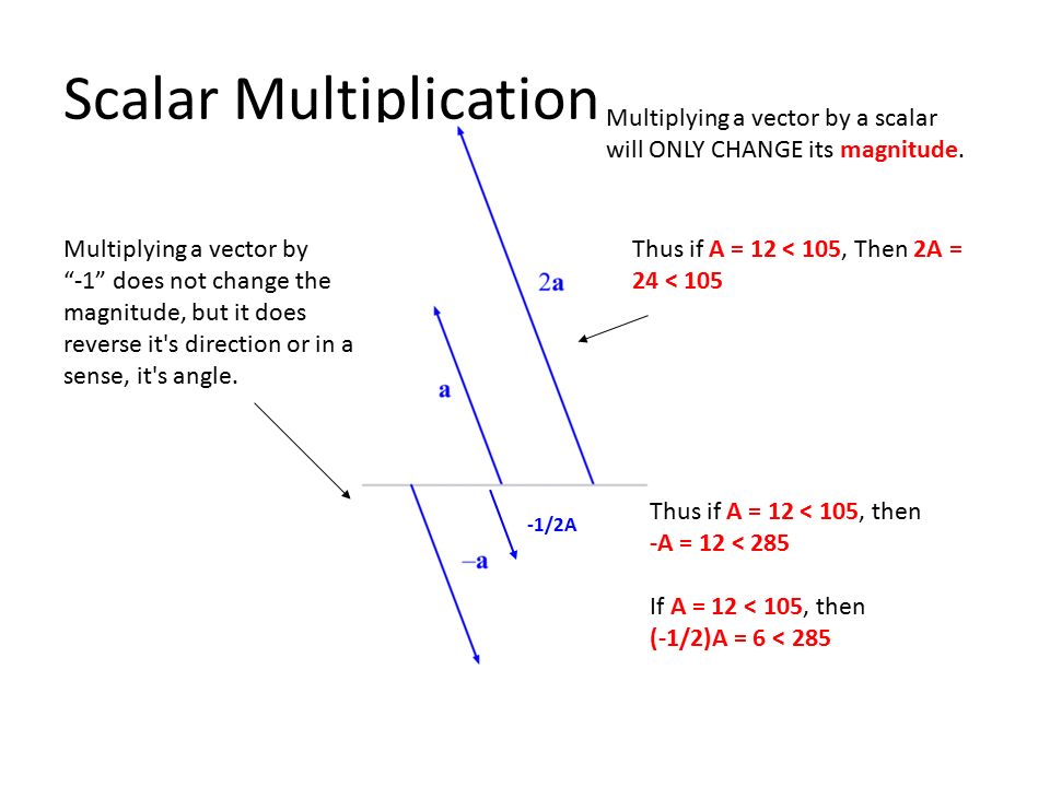 What's Your Vector Victor Scalar Multiplication Multiplying 960x720 What's Your Vector Victor Scalar Multiplication Multiplying