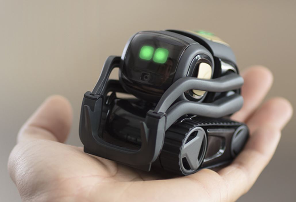 1030x704 Review Vector